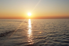 IMG-20190921-WA0037